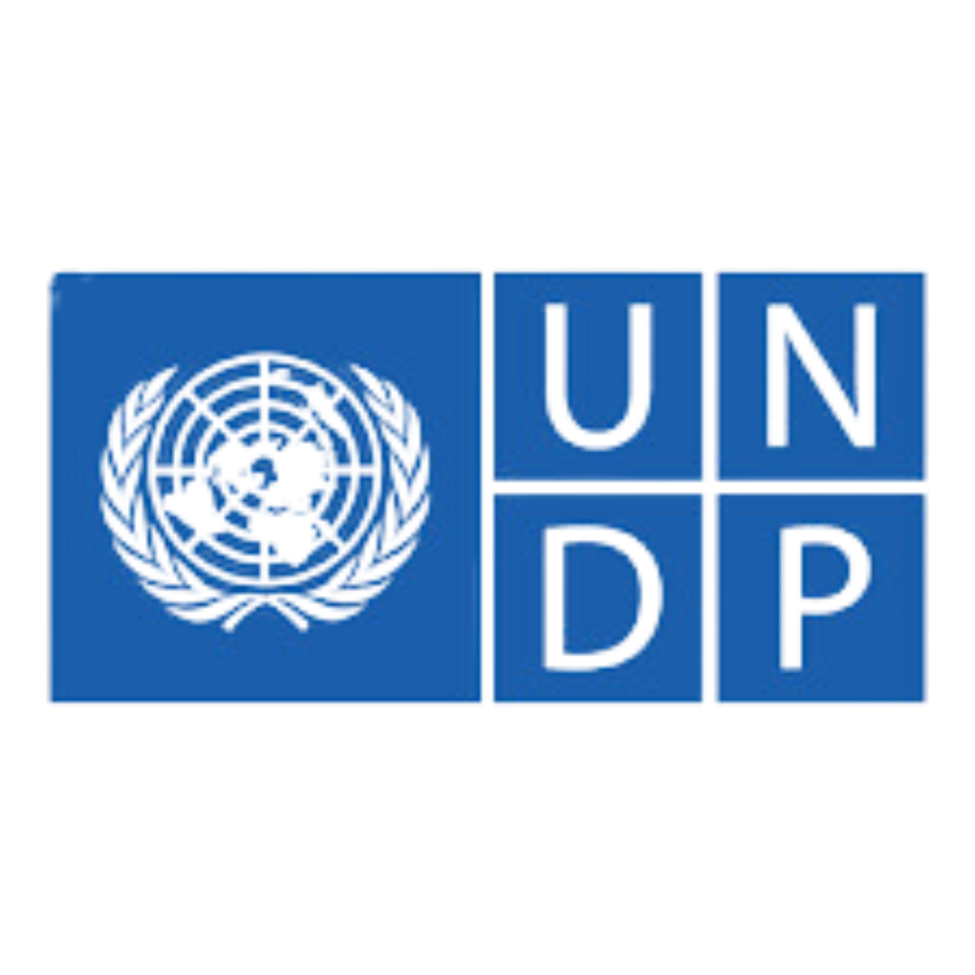 UNDP